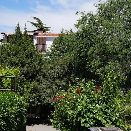 Forest Park Nest Apartment, Near Centre, With Free Parking