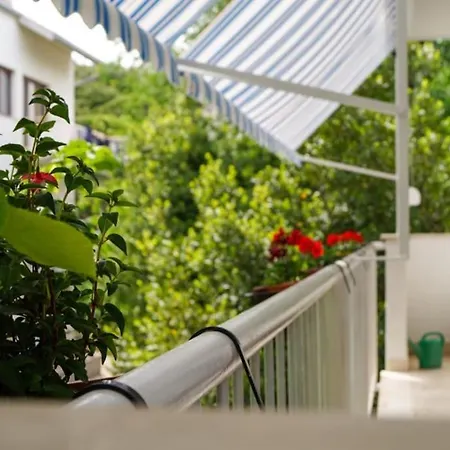 Forest Park Nest Apartment, Near Centre, With Free Parking Split