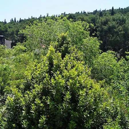 Forest Park Nest Apartment, Near Centre, With Free Parking